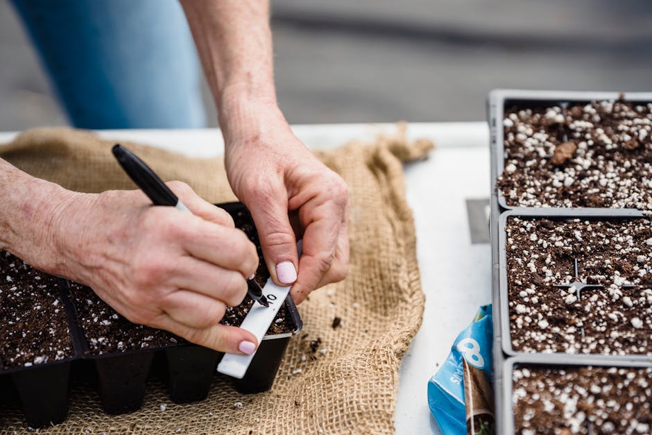 eco label vergleich – JVD