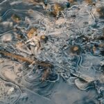 ice reservierung – JVD