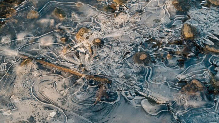 ice reservierung – JVD