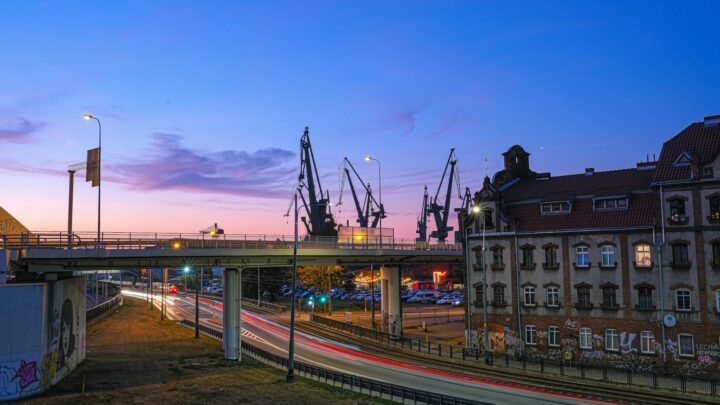 msc fisch – JVD