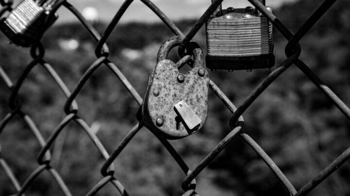 paypal sicherheit – JVD