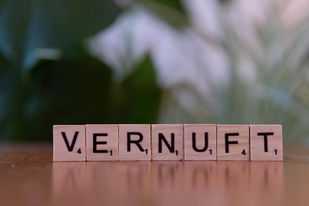 Lohnabrechnung verstehen – Erster Job & Steuern (Symbolbild: Nahaufnahme von Scrabblesteinen, die so angeordnet sind, dass sie auf einer Holzoberfläche mit unscharfem Hintergrund das Wort „Vernuft“ ergeben.)