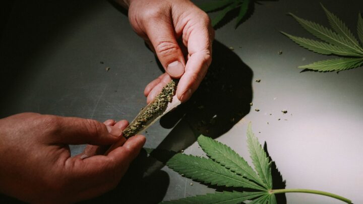 cannabis legal – JVD