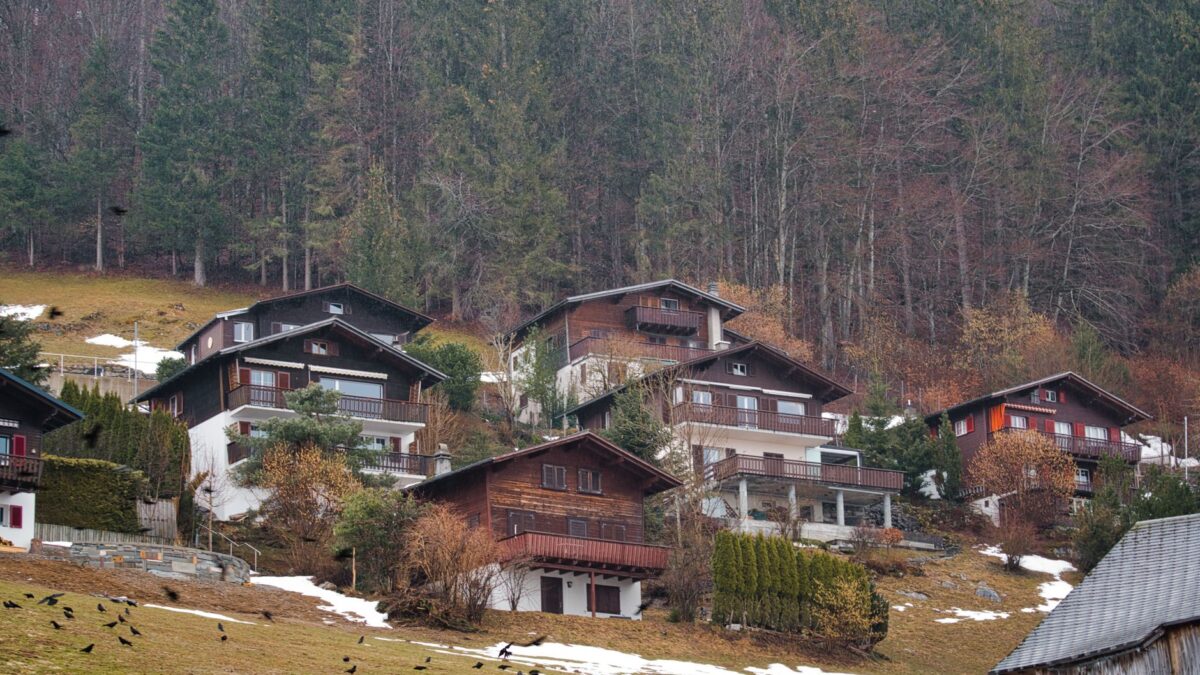 eier bauernhof – JVD