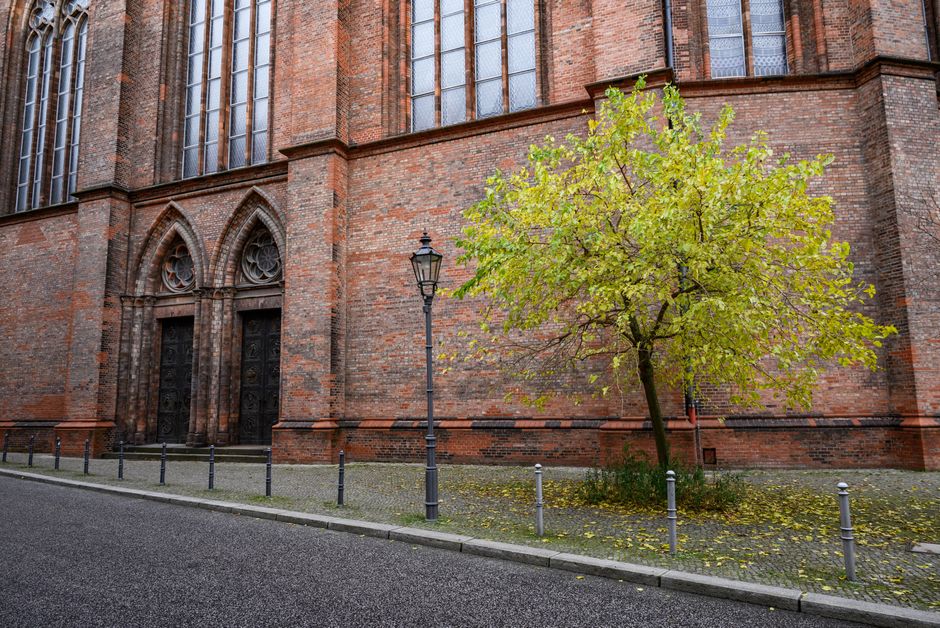 nachhaltige geschenke – JVD